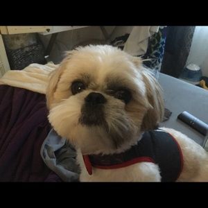 Meet your Posher, Alex